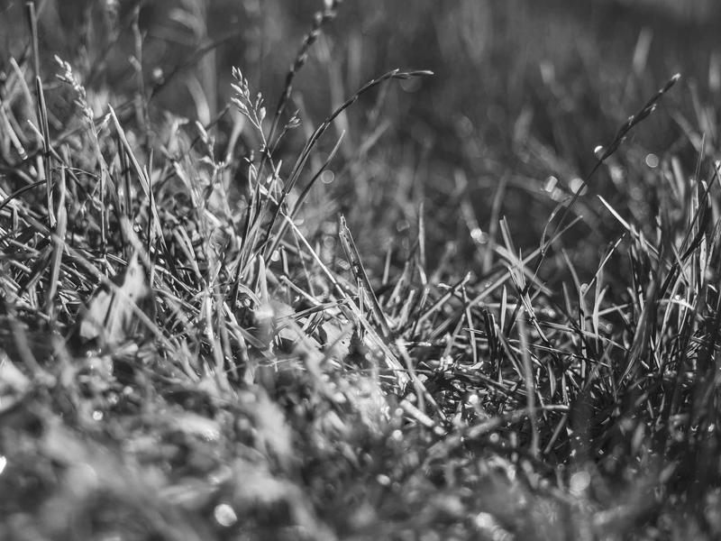 sudoku game online screenshot 2